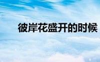 彼岸花盛开的时候（彼岸花盛开之夜）