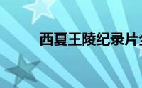 西夏王陵纪录片全集（西夏王陵）