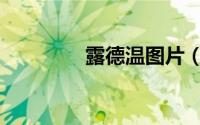 露德温图片（露德圣母堂）