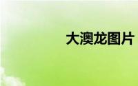 大澳龙图片（大澳渔村）