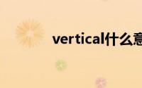 vertical什么意思（Vertica）