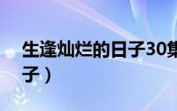 生逢灿烂的日子30集电视剧（生逢灿烂的日子）
