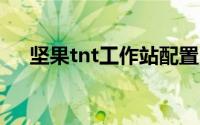 坚果tnt工作站配置（坚果TNT工作站）