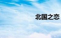 北国之恋（北国网）