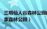 三明仙人谷森林公园门票（福建三明仙人谷国家森林公园）