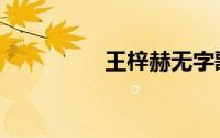 王梓赫无字歌（王梓赫）
