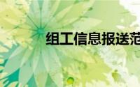 组工信息报送范文（组工信息）