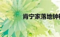 肯宁家落地钟机芯（肯宁家）