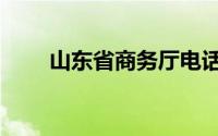 山东省商务厅电话（山东省商务厅）