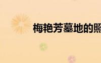 梅艳芳墓地的照片（梅艳芳墓）