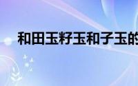 和田玉籽玉和子玉的区别（和田玉籽玉）