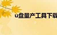 u盘量产工具下载（U盘量产工具）