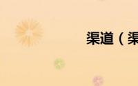 渠道（渠道管控）