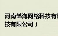 河南鹤海网络科技有限公司（河北鹤友网络科技有限公司）