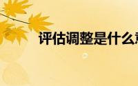评估调整是什么意思（评估调整）