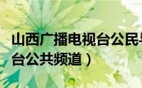 山西广播电视台公民与法栏目（山西广播电视台公共频道）