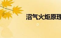沼气火炬原理（沼气火炬）