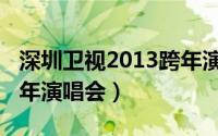 深圳卫视2013跨年演唱会（深圳卫视2013跨年演唱会）