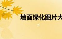 墙面绿化图片大全（墙面绿化）