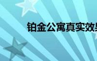 铂金公寓真实效果图（铂金公寓）