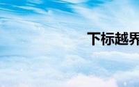 下标越界（下标）