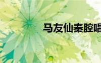 马友仙秦腔唱段（马友文）