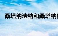 桑塔纳浩纳和桑塔纳的区别（桑塔纳浩纳）