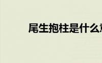 尾生抱柱是什么意思（尾生抱柱）