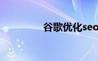 谷歌优化seo（谷歌优化）