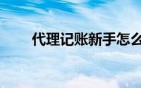 代理记账新手怎么入行（代理记账）