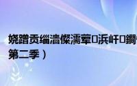 娆蹭贡缁濇儏濡荤浜屽鐧惧害缃戠洏璧勬簮（欲乱绝情妻第二季）
