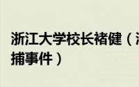 浙江大学校长褚健（浙江大学副校长褚健被批捕事件）