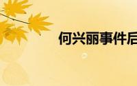 何兴丽事件后续（何兴丽）