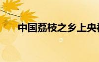 中国荔枝之乡上央视（中国荔枝之乡）