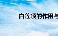 白莲须的作用与功效（白莲须）