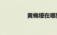 黄桷垭在哪里（黄桷垭）