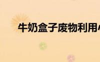 牛奶盒子废物利用小制作（牛奶盒子）