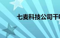 七麦科技公司干嘛的（七麦科技）