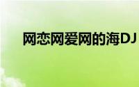 网恋网爱网的海DJ（网恋网爱网的海）