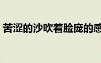 苦涩的沙吹着脸庞的感觉是什么（苦涩的沙）