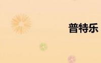 普特乐（普特）