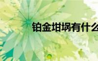铂金坩埚有什么用（铂金坩埚）