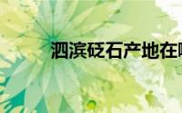 泗滨砭石产地在哪里（泗滨砭石）