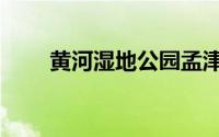 黄河湿地公园孟津（黄河湿地公园）
