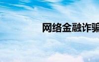 网络金融诈骗（网络金融）