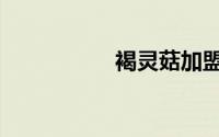 褐灵菇加盟（褐灵菇）