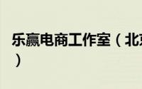 乐赢电商工作室（北京乐赢互动科技有限公司）