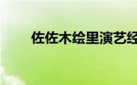 佐佐木绘里演艺经历（佐佐木绘里）