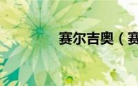 赛尔吉奥（赛尔吉伊巴卡）