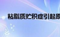 粘脂质贮积症引起原因（粘脂质贮积症）
